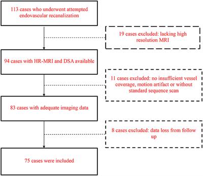 Imaging Predictors for Endovascular Recanalization of Non-acute Occlusion of Internal Carotid Artery Based on 3D T1-SPACE MRI and DSA